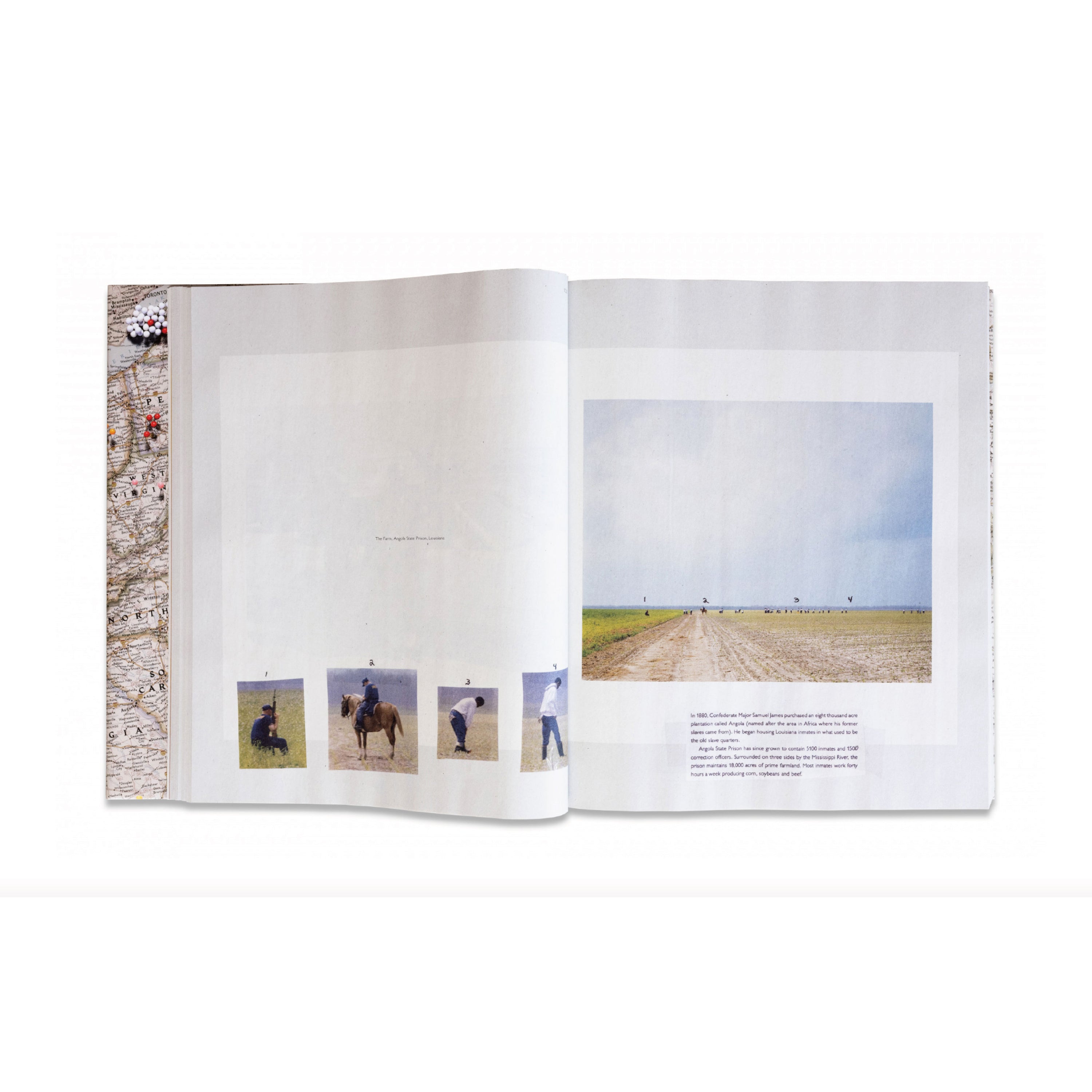 Gathered Leaves Annotated - Alec Soth