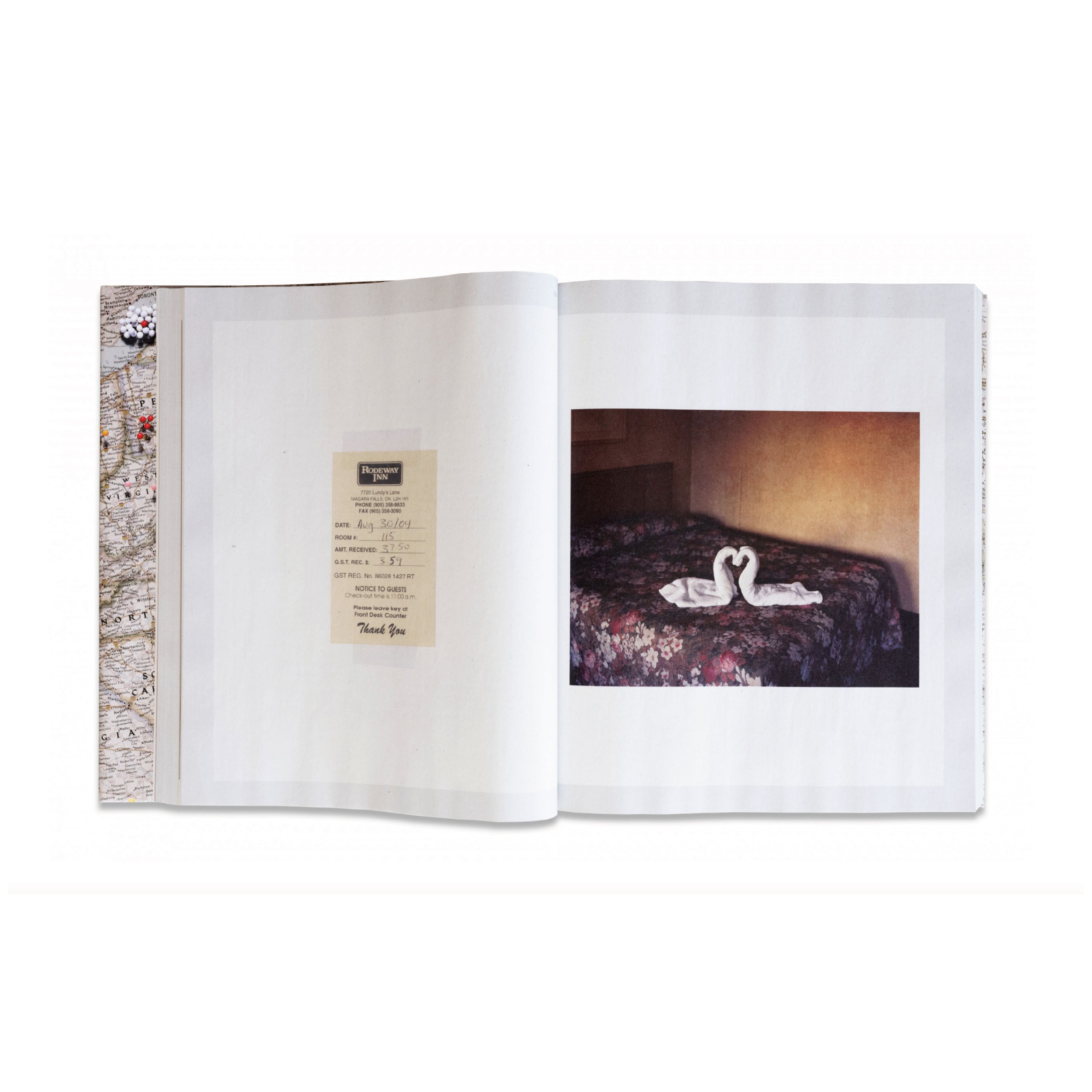 Gathered Leaves Annotated - Alec Soth