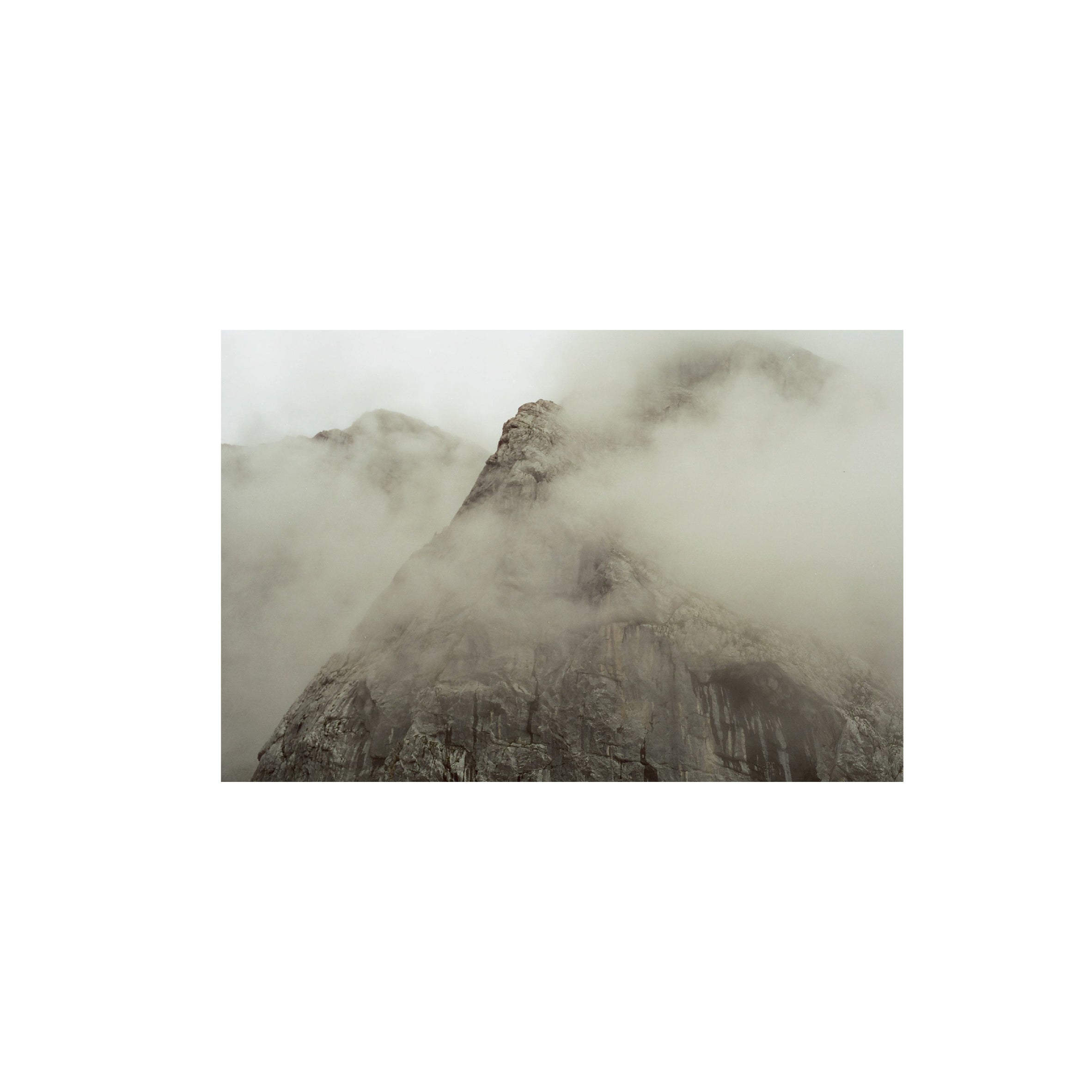 Cinestill 50D Daylight