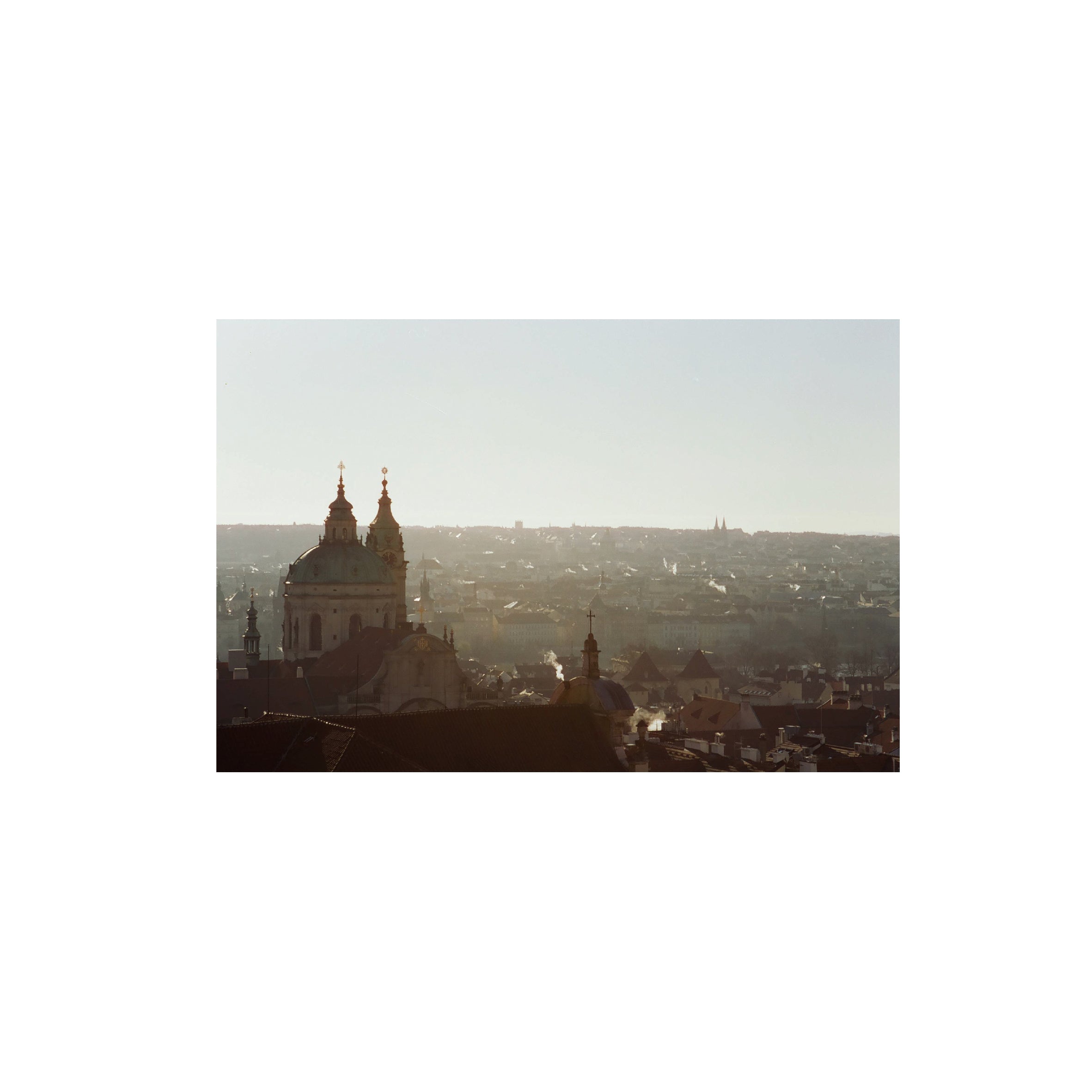 Cinestill 50D Daylight