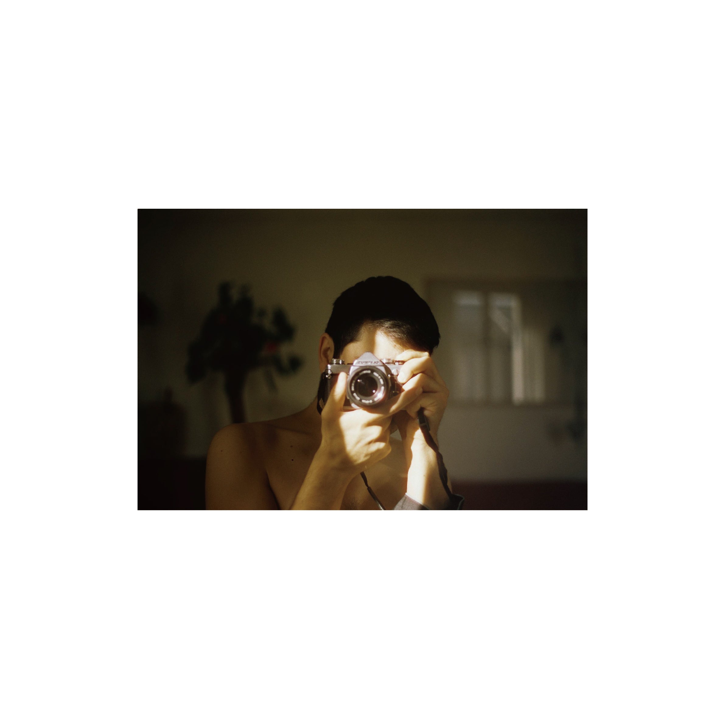 Cinestill 50D Daylight