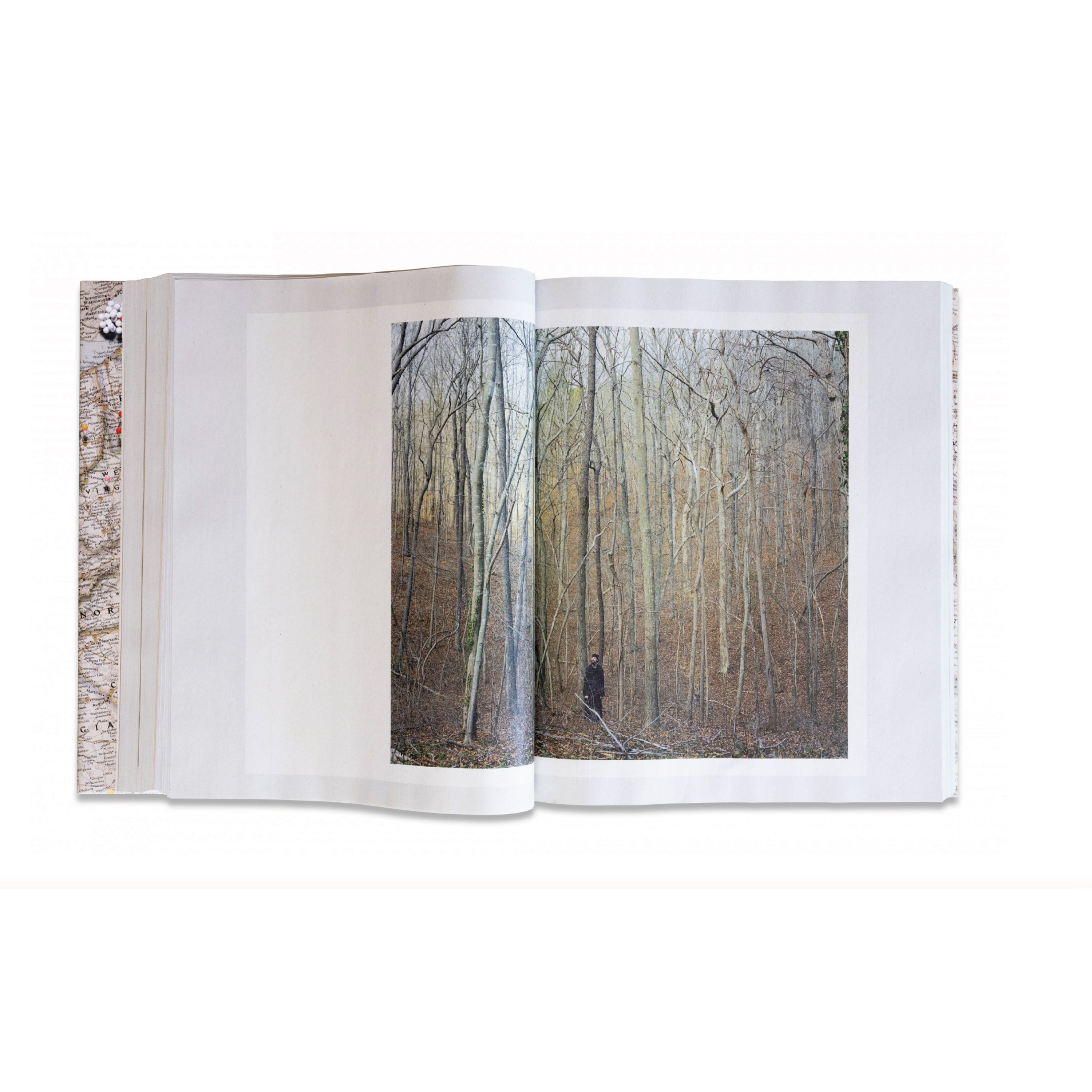 Gathered Leaves Annotated - Alec Soth