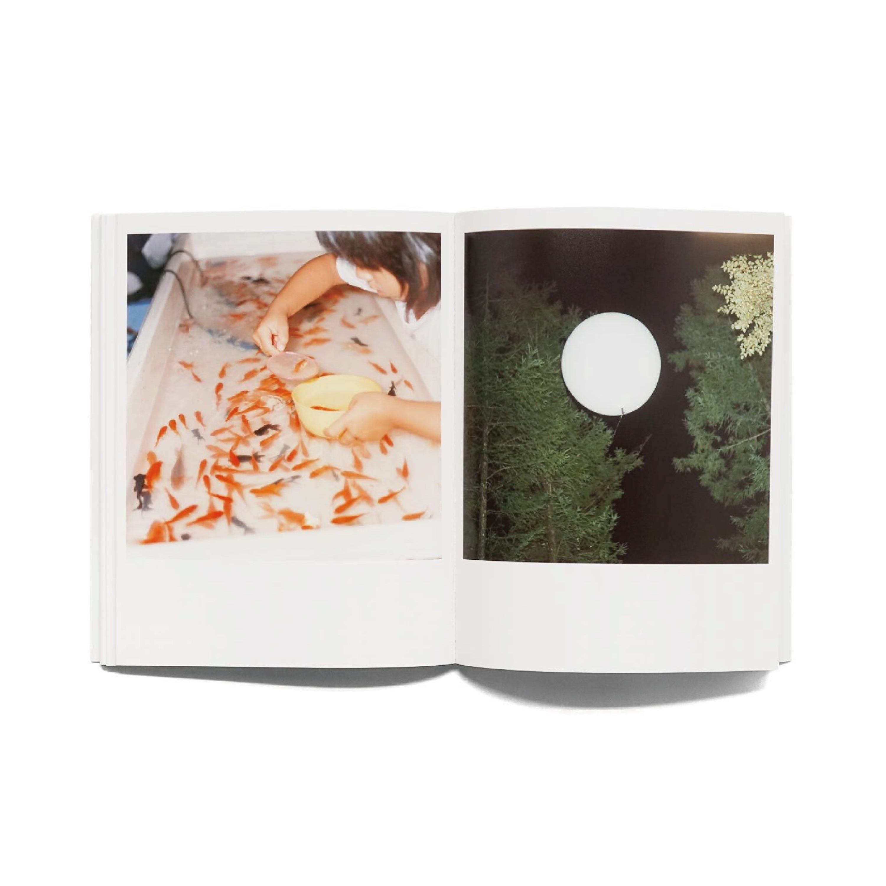 うたたね-川內倫子