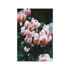 LomoChrome Color ’92 400 120 format