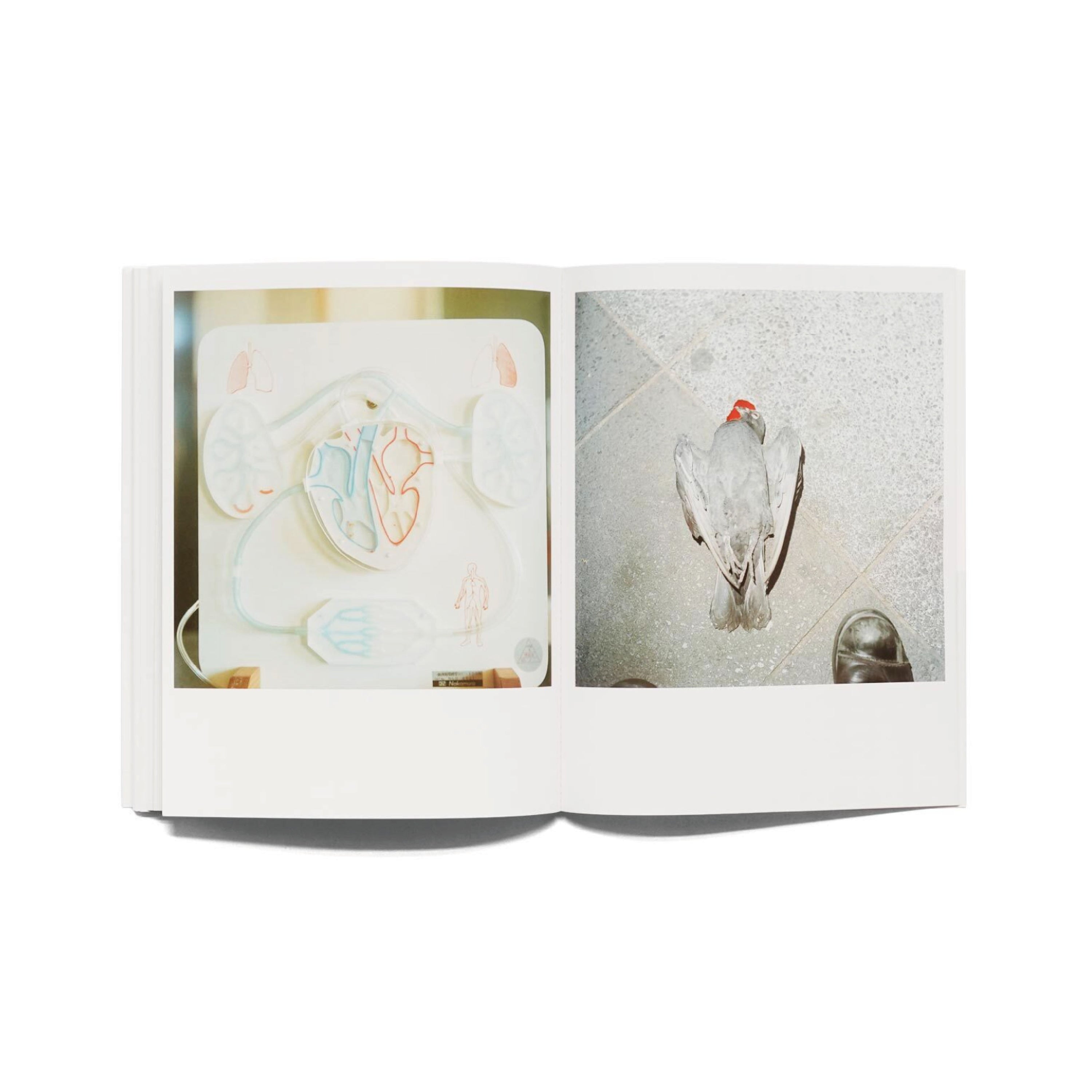 うたたね-川內倫子