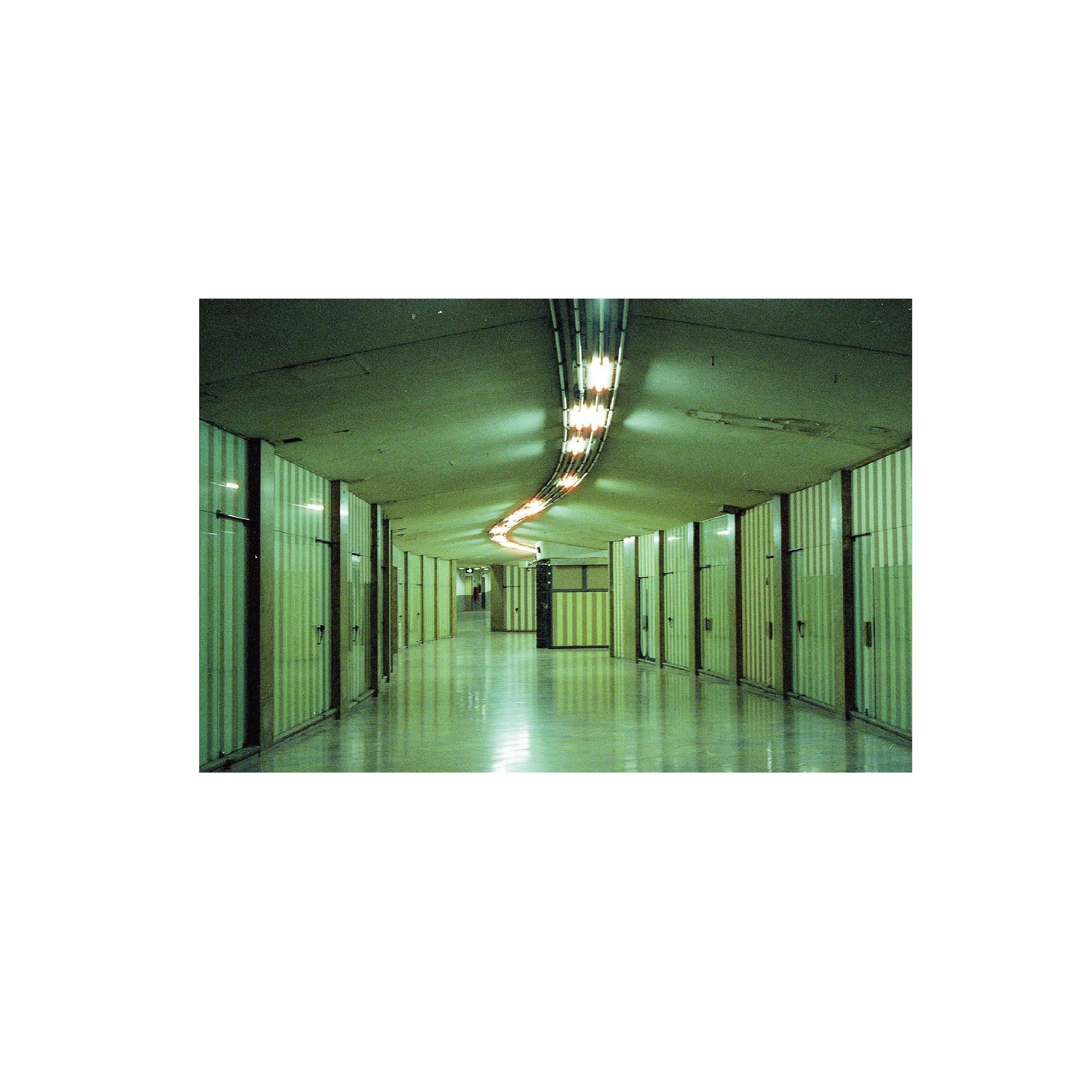 Cinestill 800T Tungsten Film