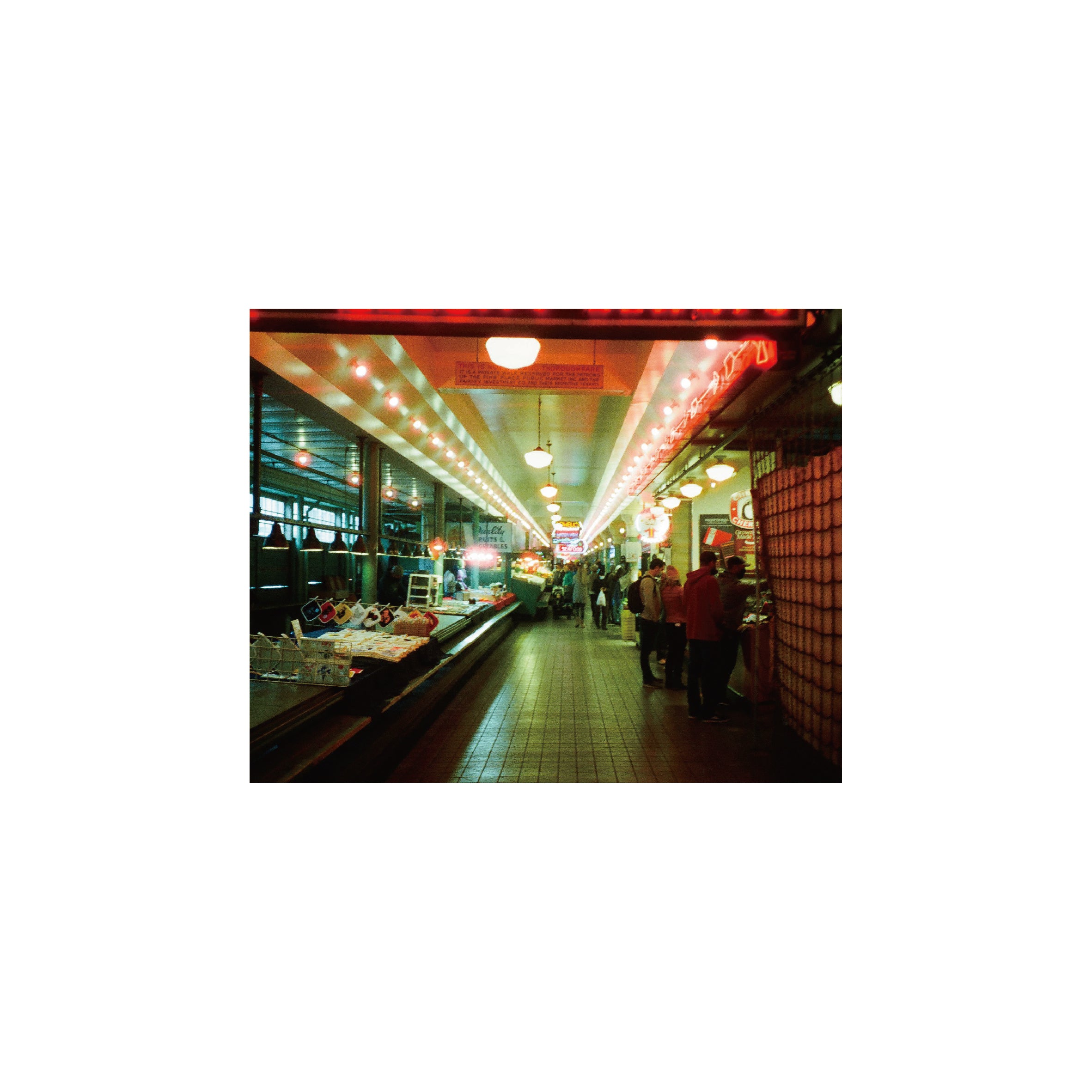 Cinestill 800T Tungsten Film