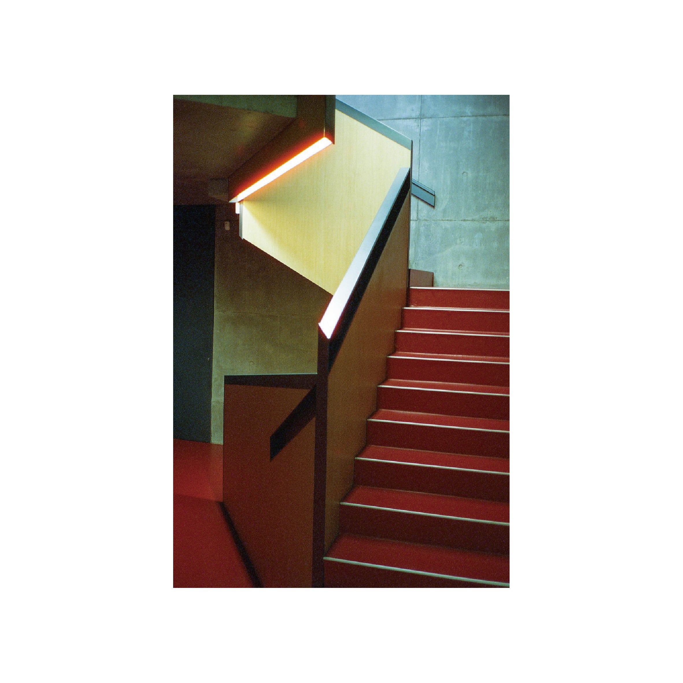 Cinestill 800T Tungsten Film