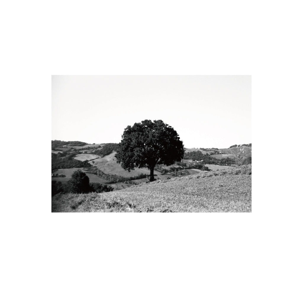 Ilford FP4 Plus 125