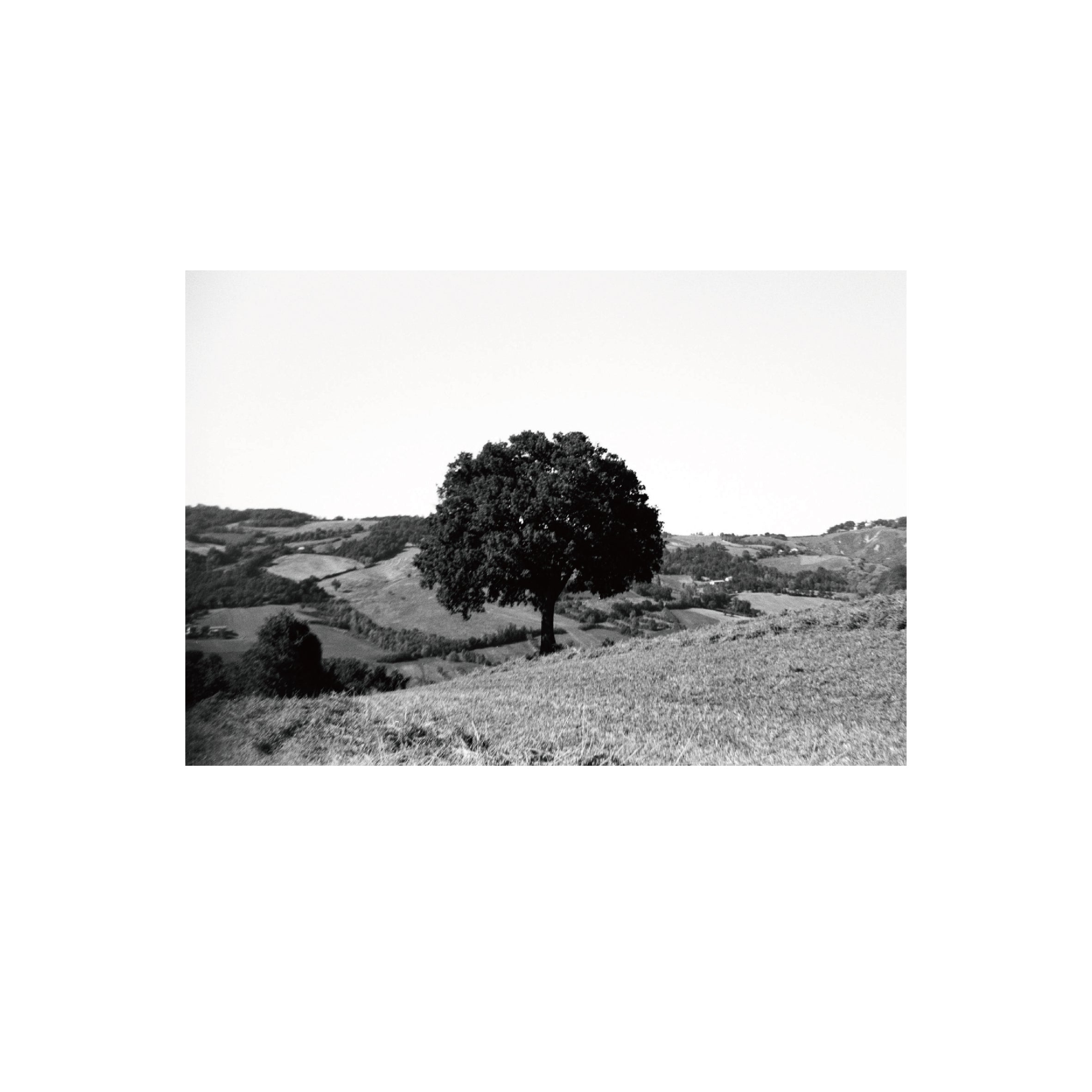 Ilford FP4 Plus 125