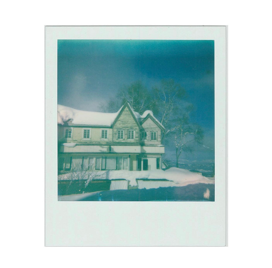 Polaroid Color 600 白邊 (White boarder)