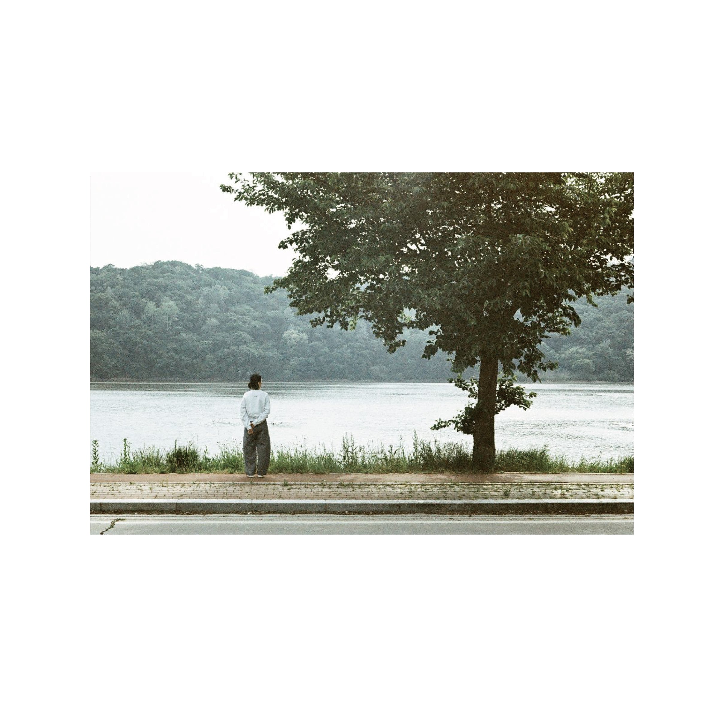 Lomochrome Metropolis 100-400 110 format