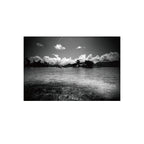 Ilford PANF Plus 50