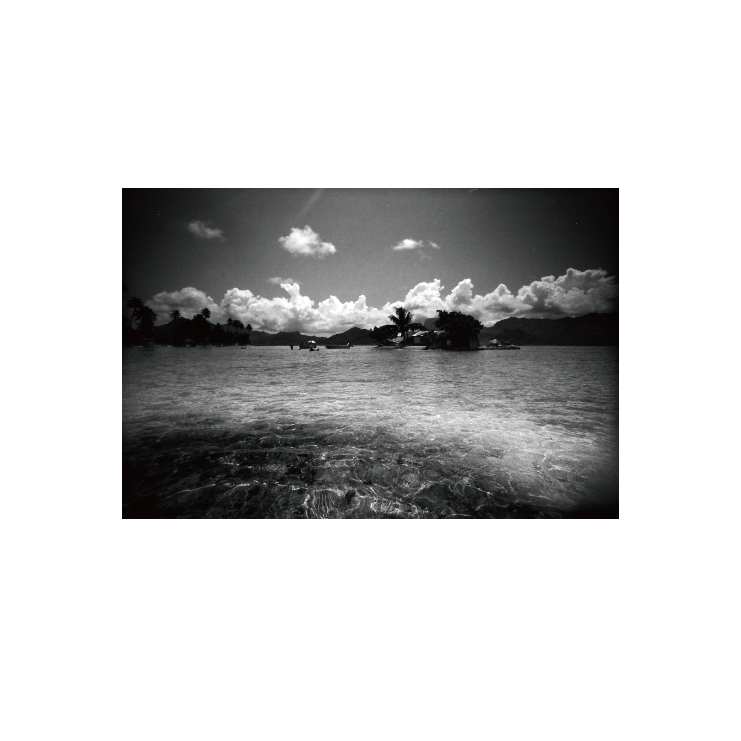 Ilford PANF Plus 50