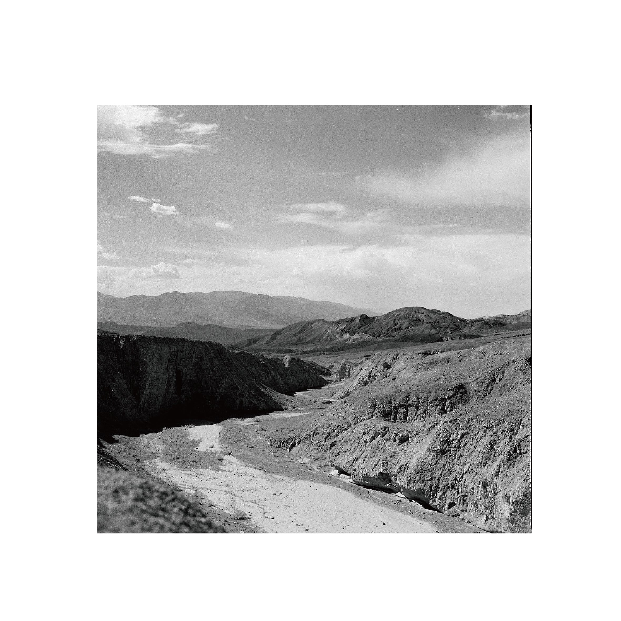 Fujifilm Neopan Acros100II B&W 120 Format