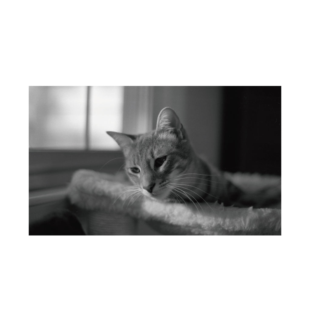 Fujifilm Neopan Acros100 II