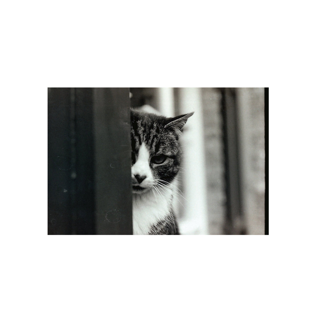Agfaphoto APX 400