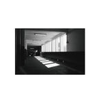 Agfaphoto APX 400