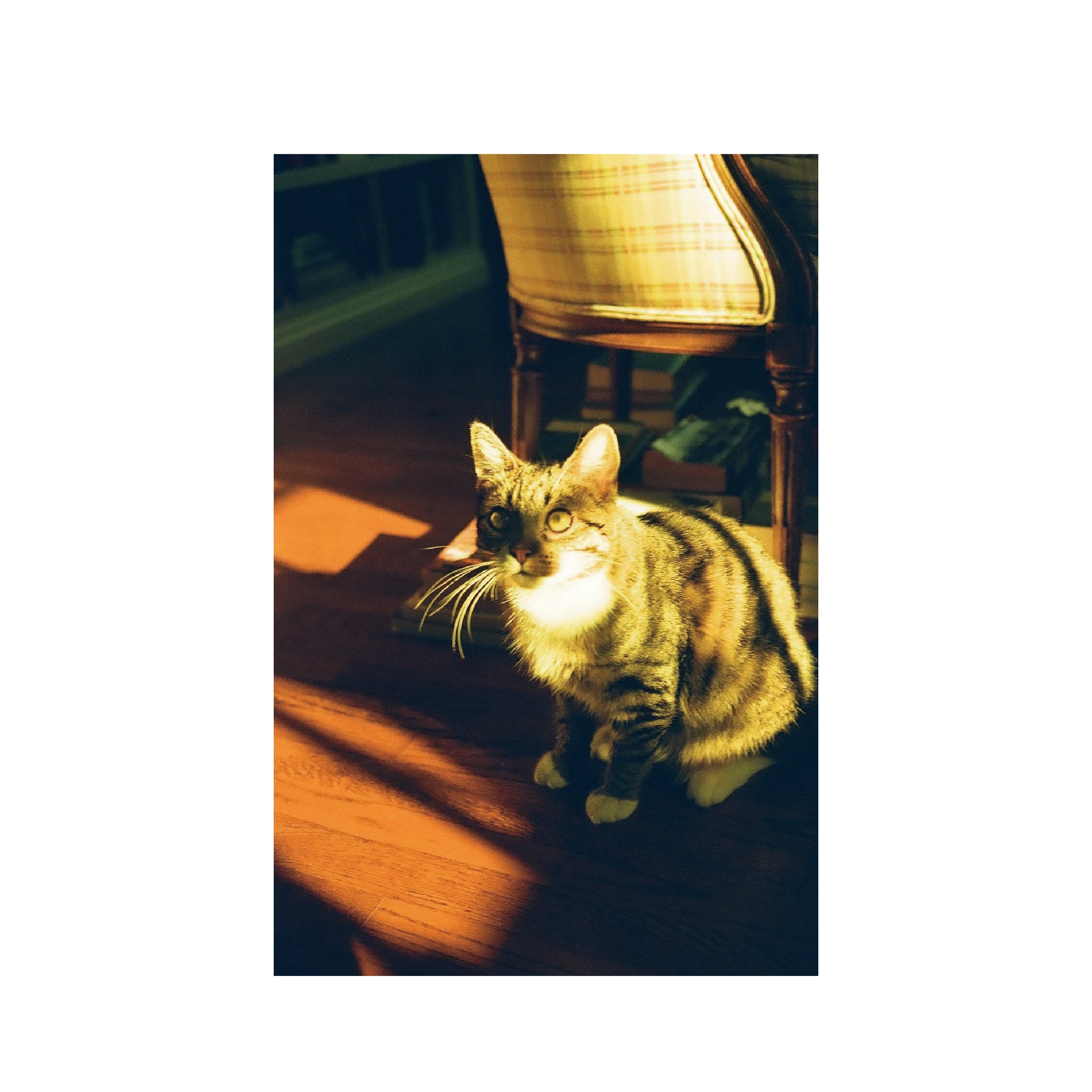 Dubblefilm Apollo 200