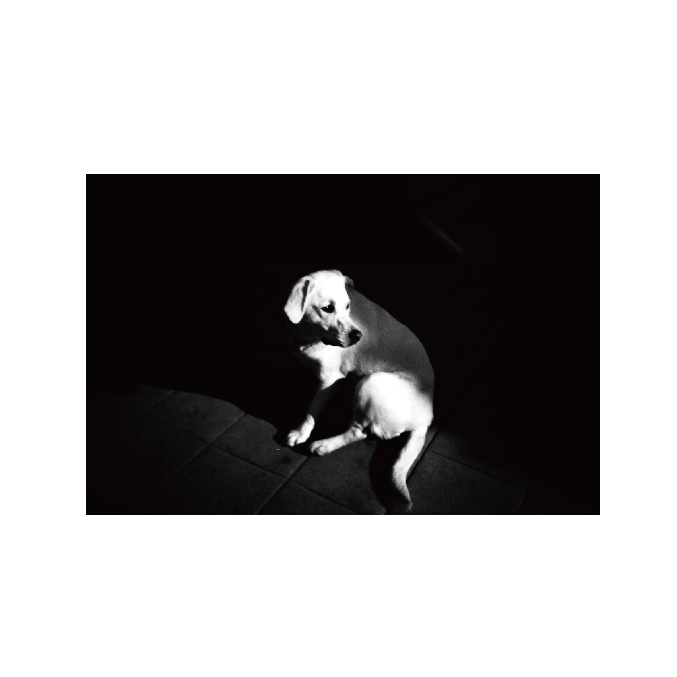 Rollei BlackBird Creative B&W