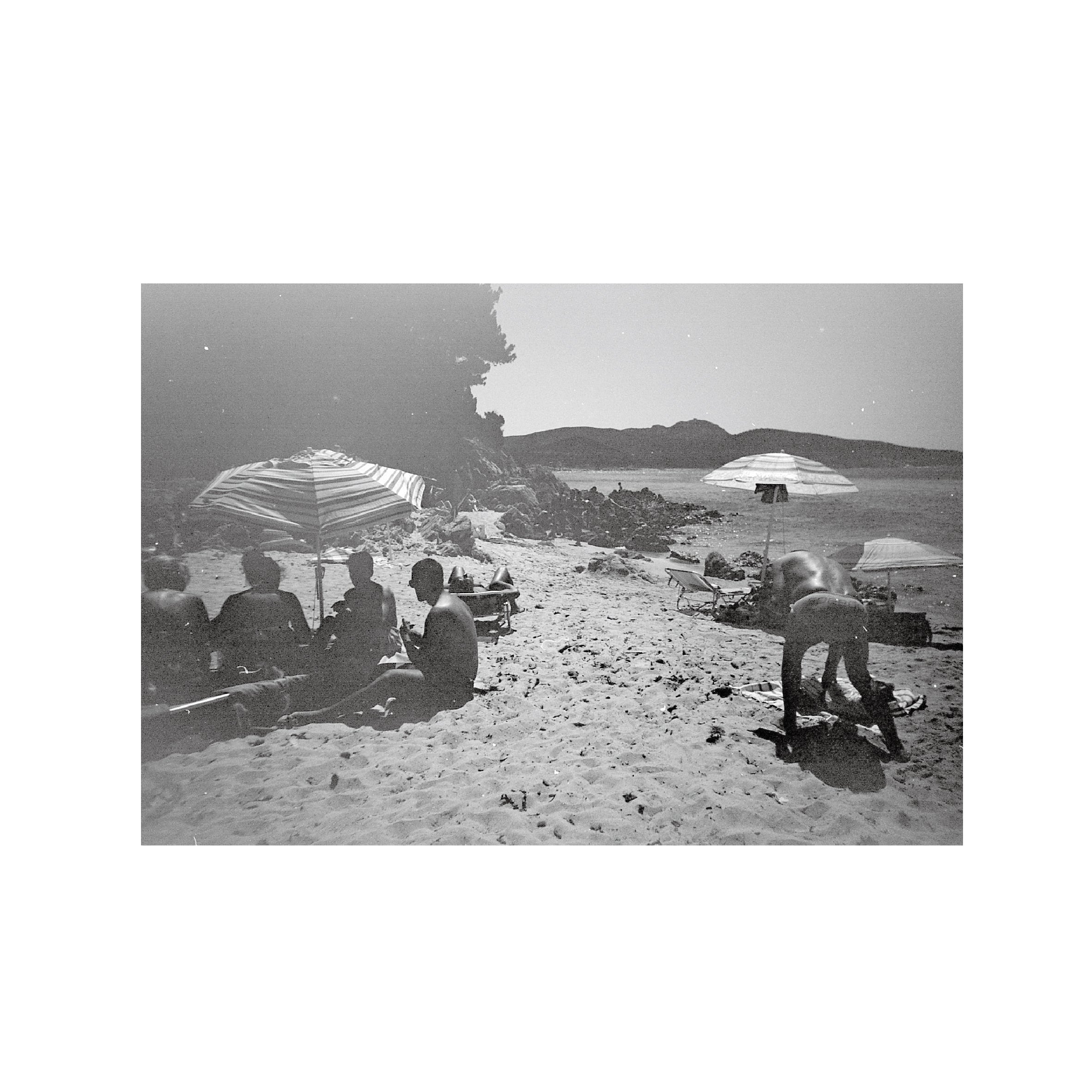 Rollei BlackBird Creative B&W