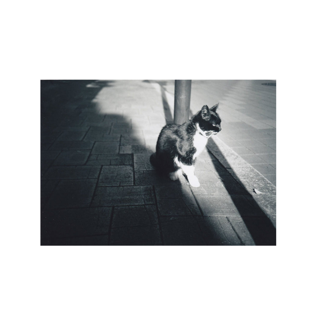 Rollei BlackBird Creative B&W