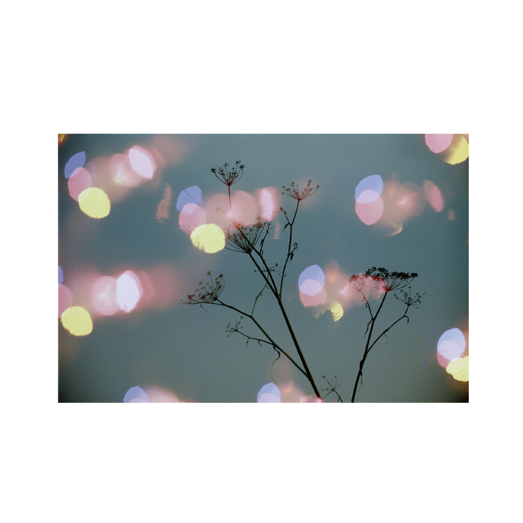 Hanalogital Bokeh 200