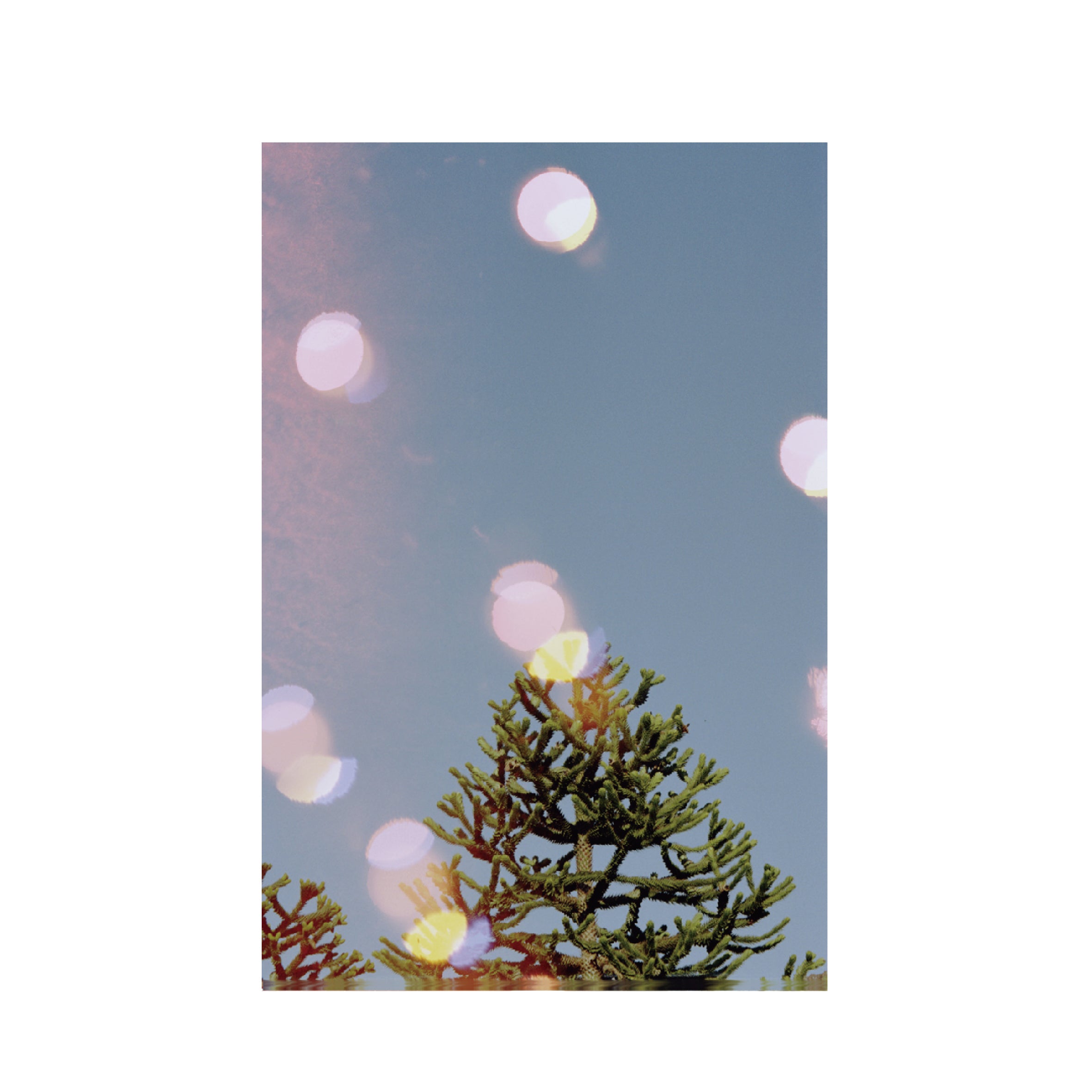 Hanalogital Bokeh 200