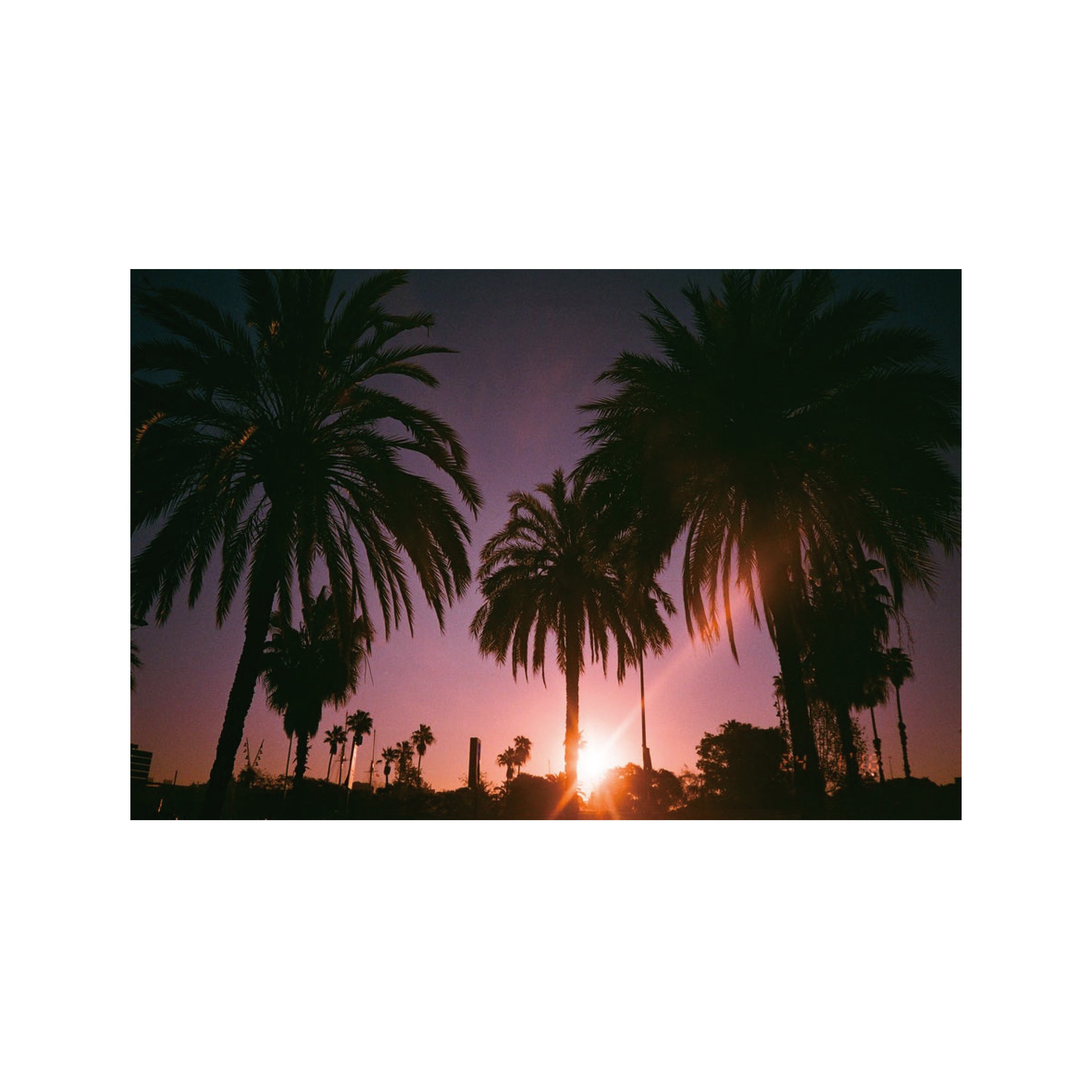 Dubblefilm Bubblegum 400