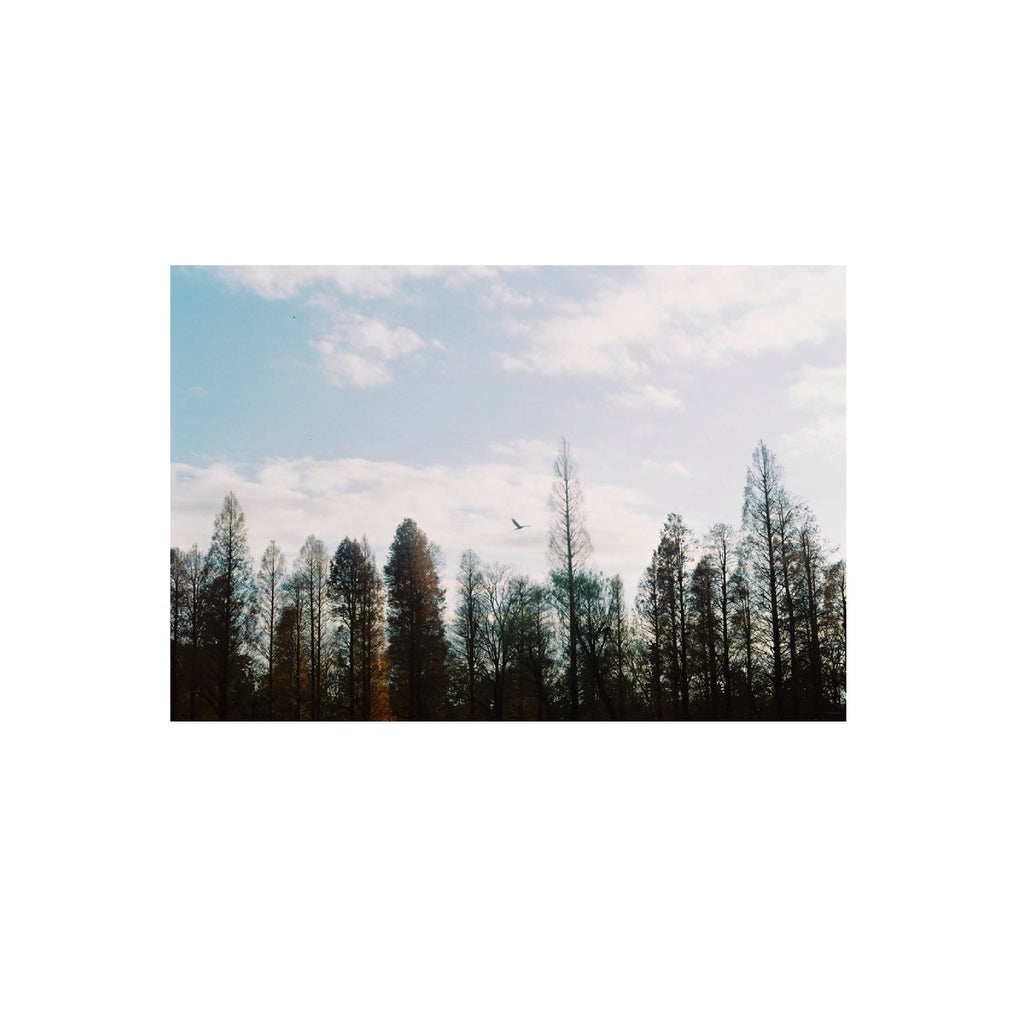 Fujifilm Fujicolor C200