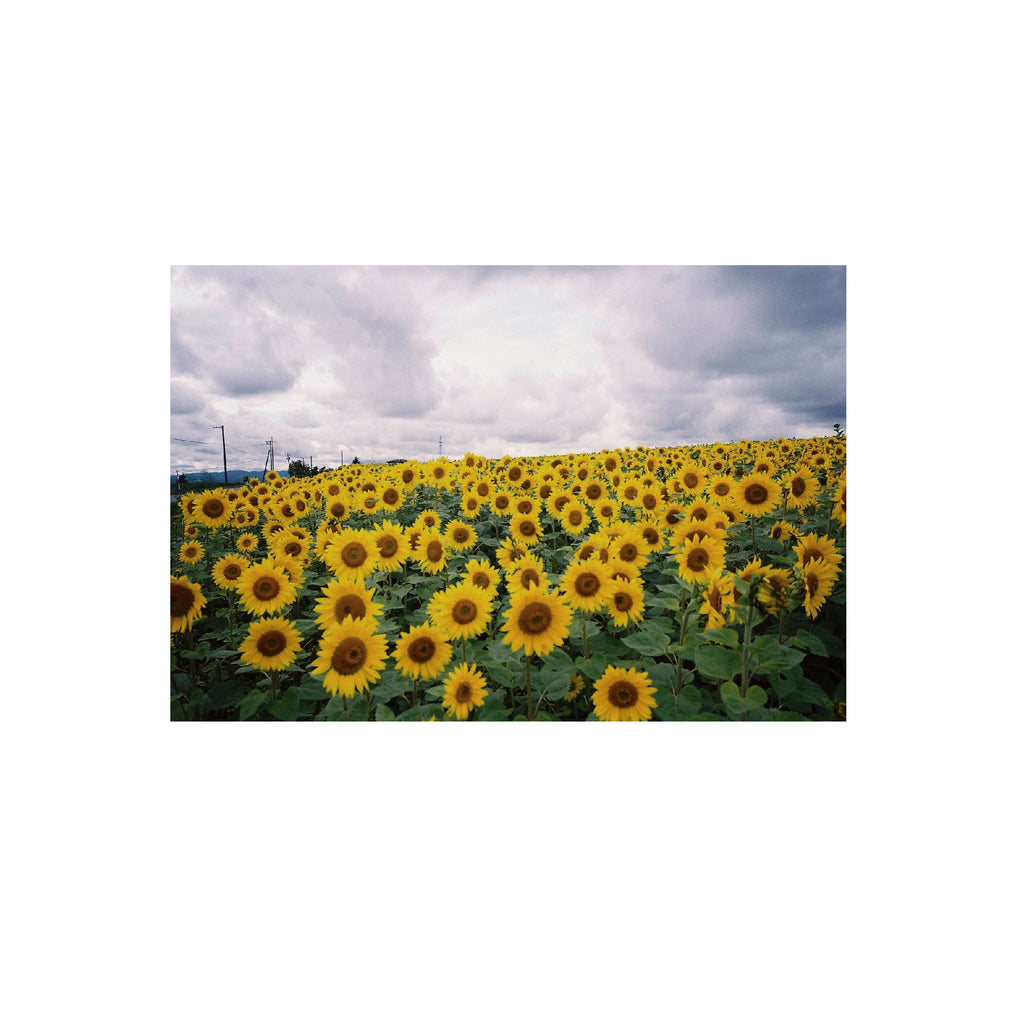 Fujifilm Fujicolor C200