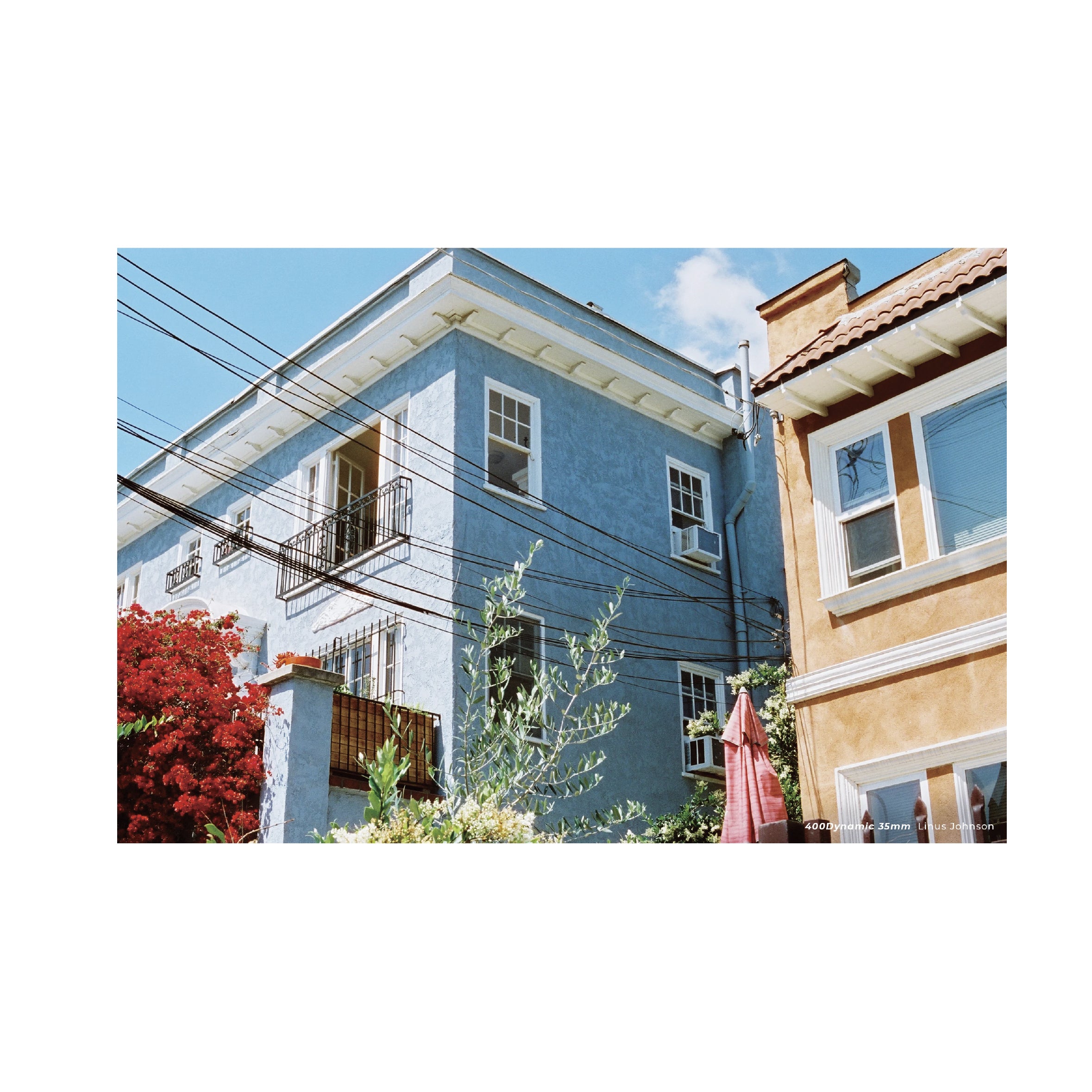 Cinestill 400D Daylight