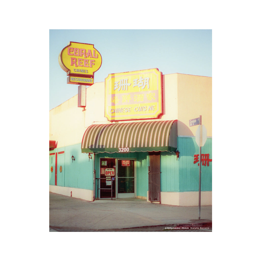 Cinestill 400D Daylight