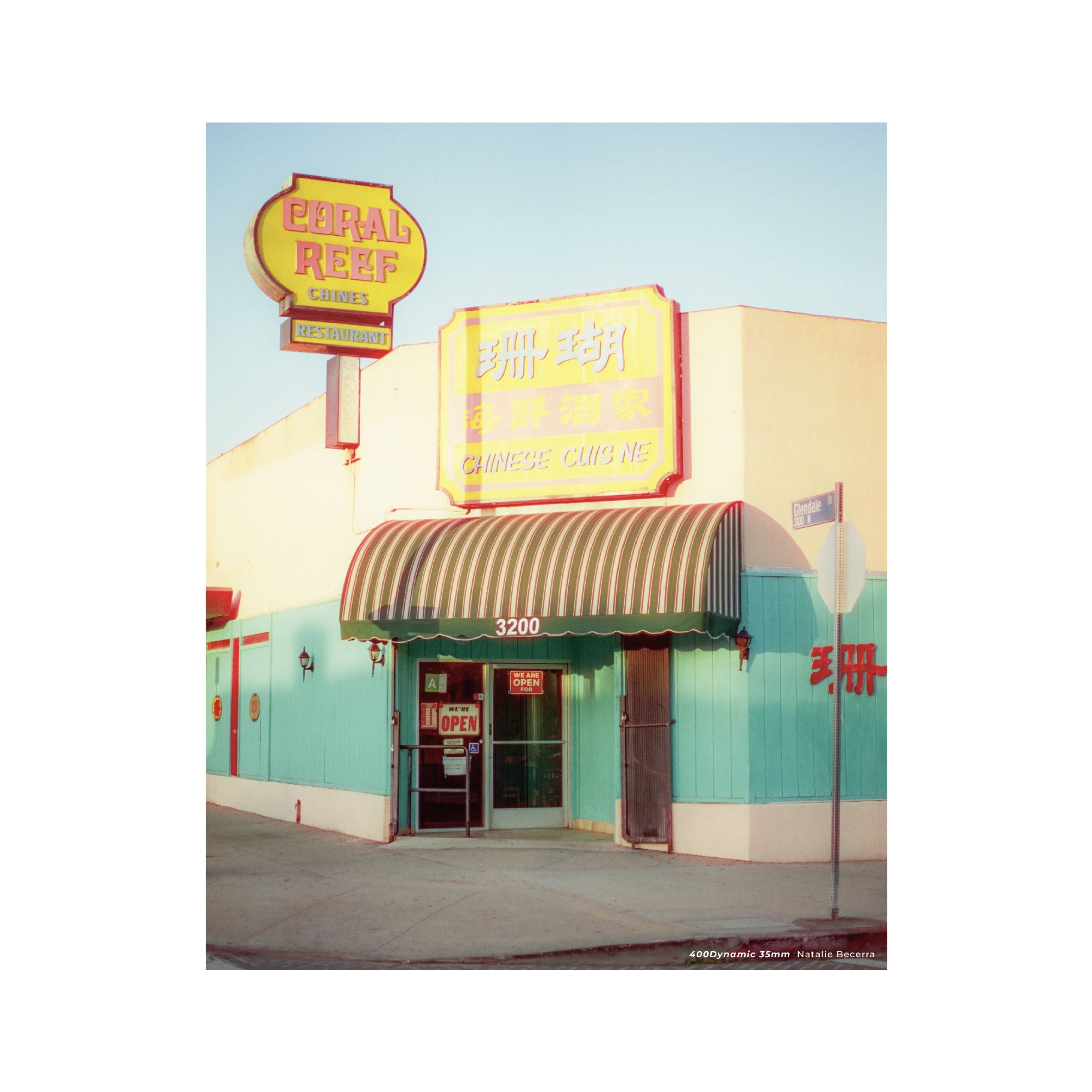 Cinestill 400D Daylight