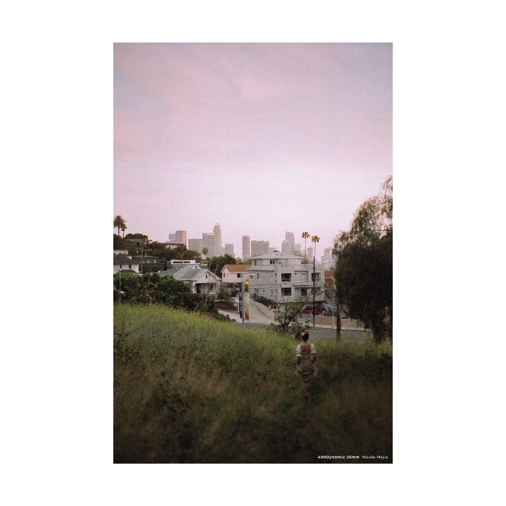 Cinestill 400D Daylight