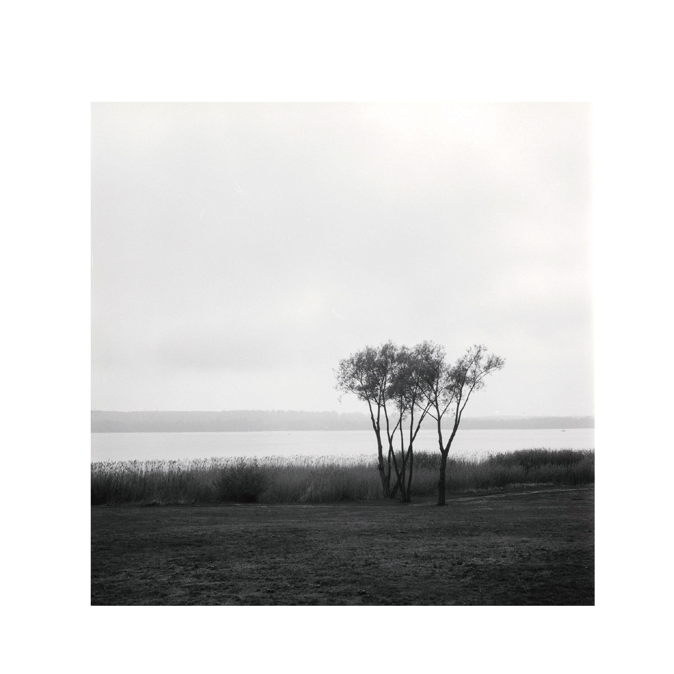 Cinestill BWXX(DoubleX) 120 Format