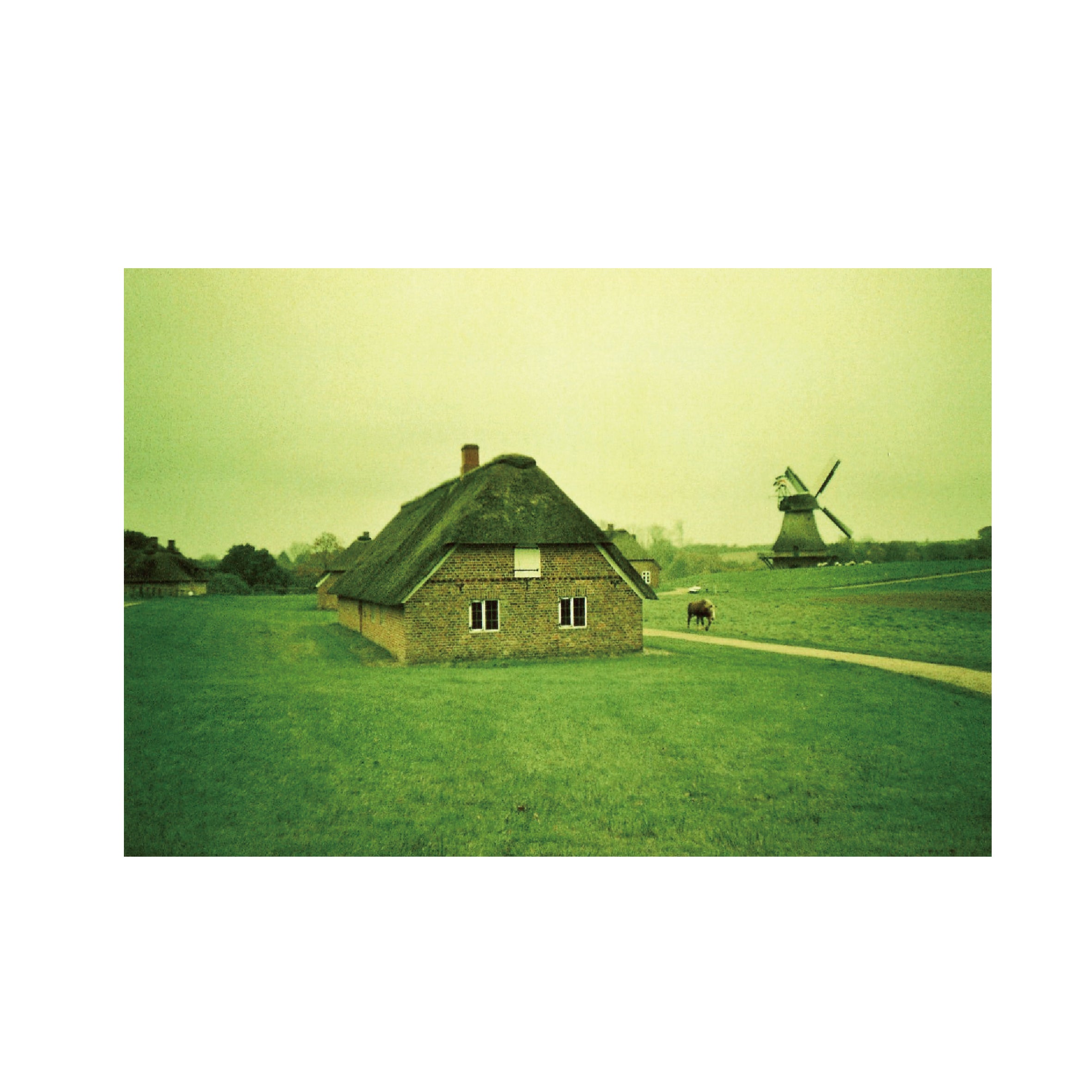 Rollei Crossbird Creative Film