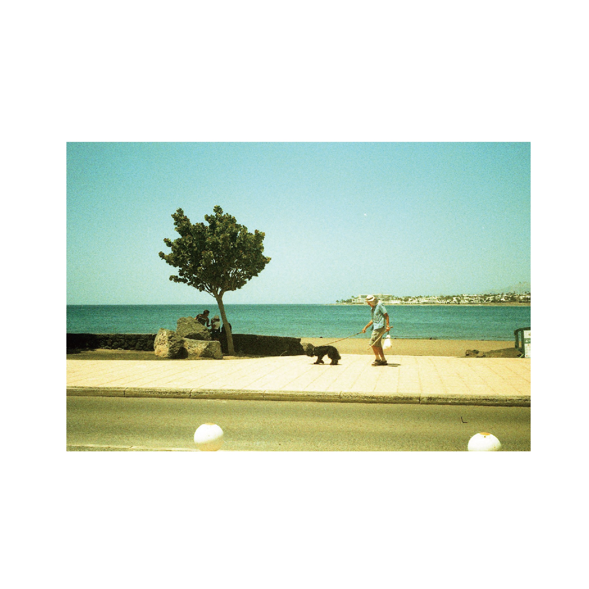 Rollei Crossbird Creative Film