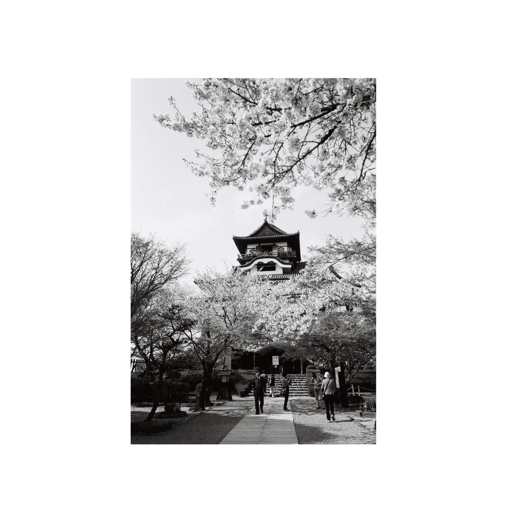 Ilford Delta 100