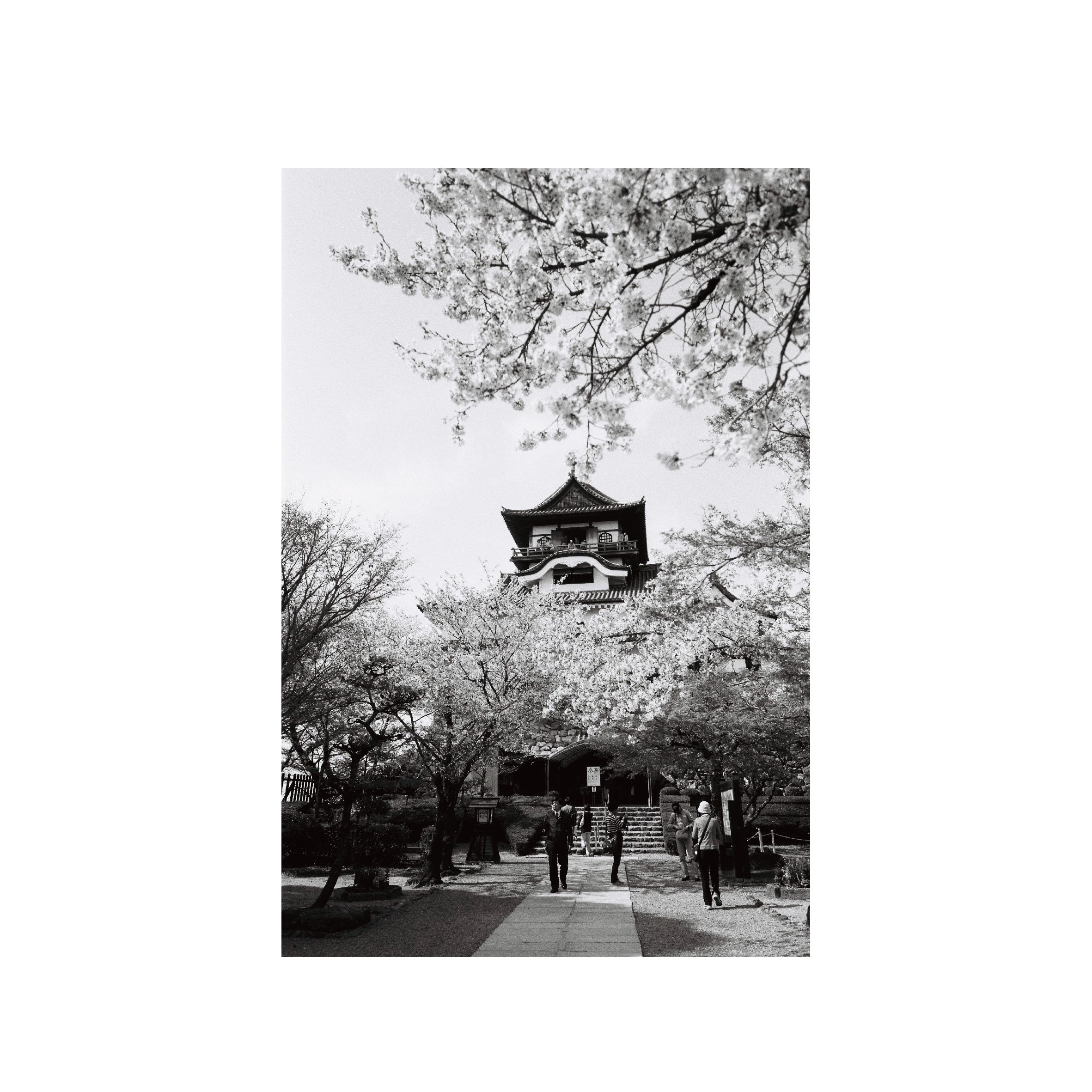 Ilford Delta 100