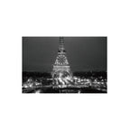 Ilford Delta 100