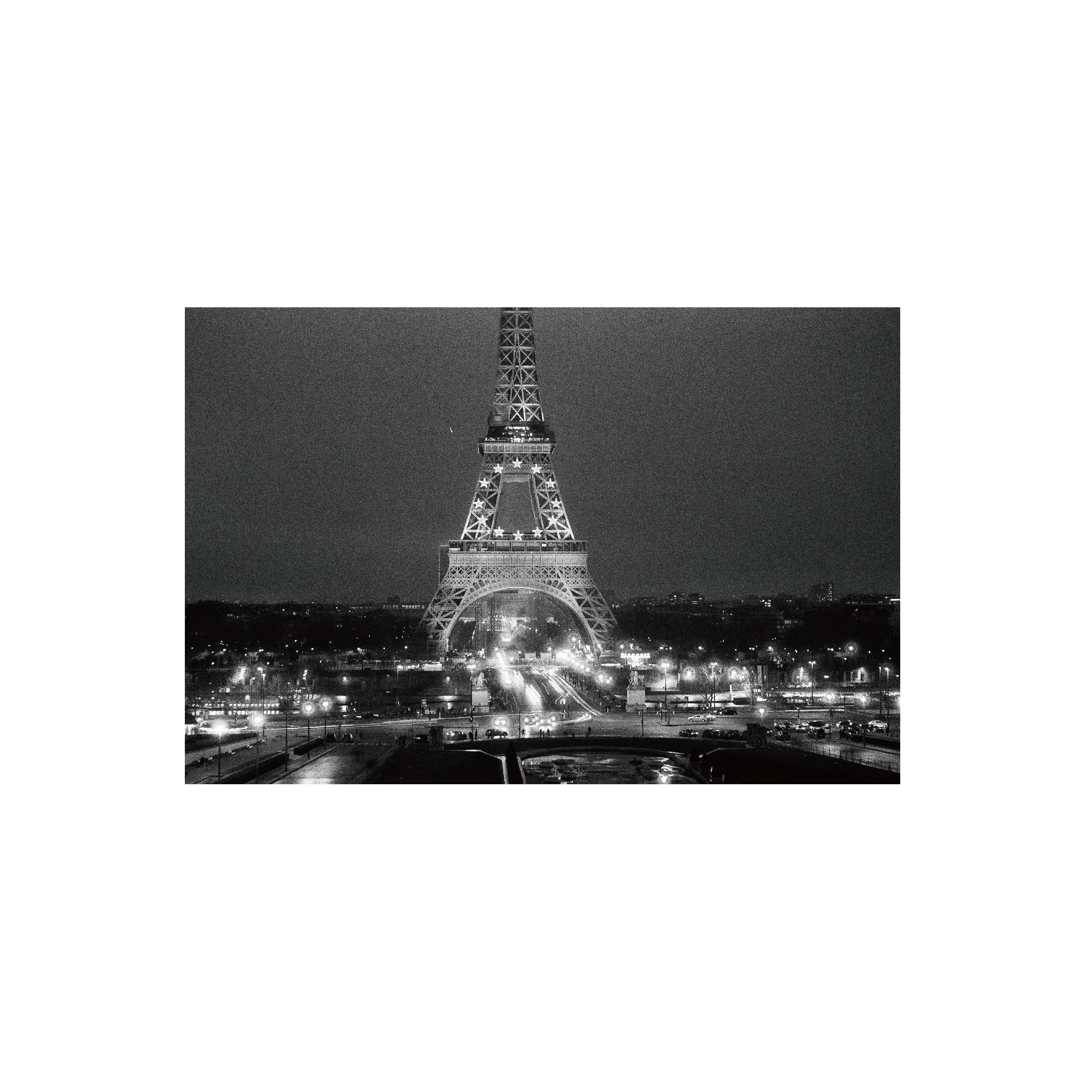 Ilford Delta 100