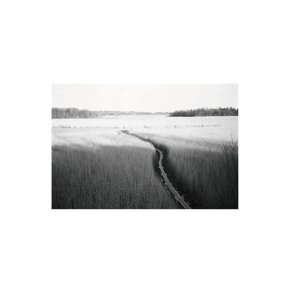 Ilford Delta 100