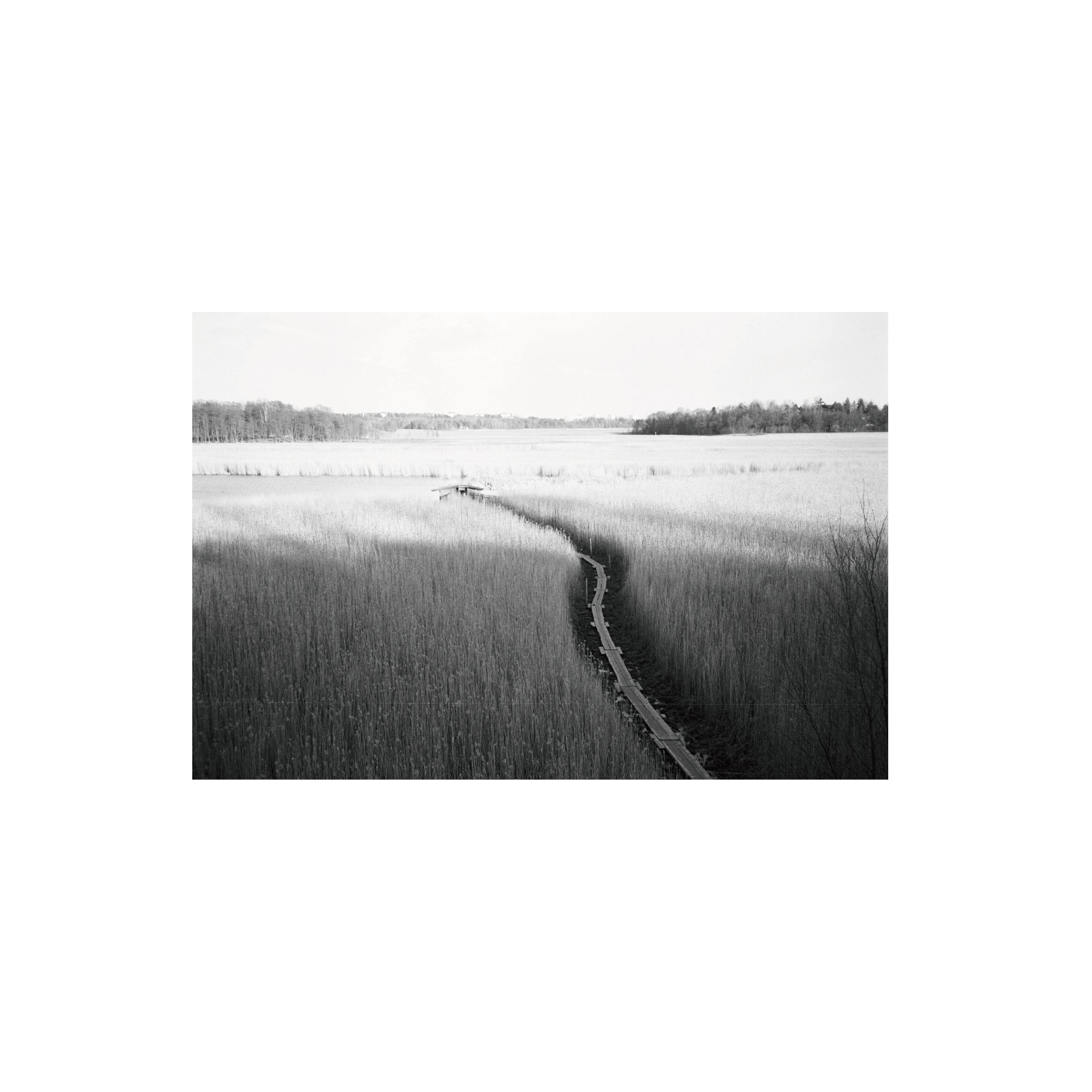 Ilford Delta 100