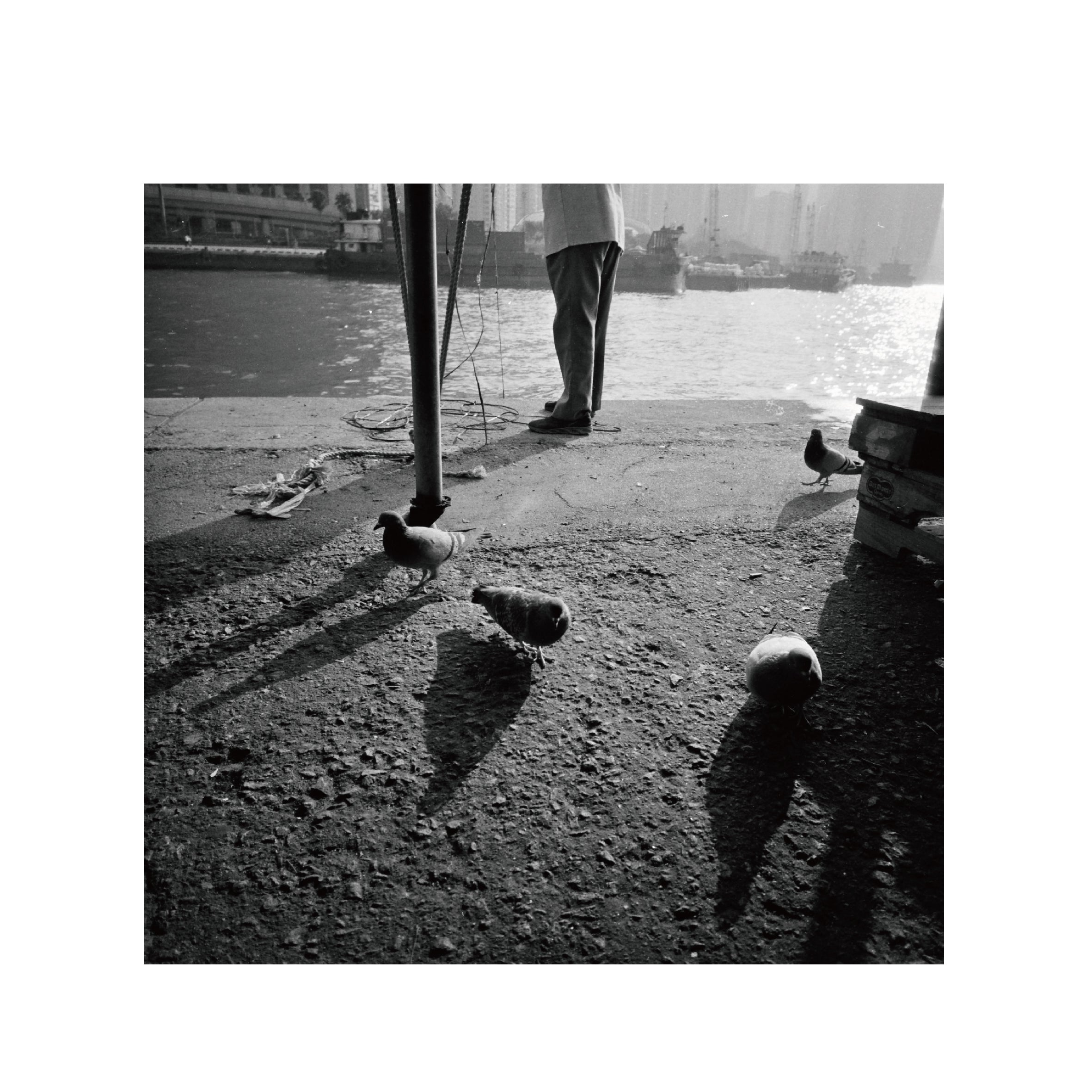 Ilford Delta3200 B&W 120 Format