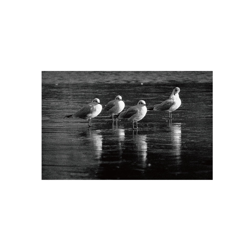 Ilford Delta 3200