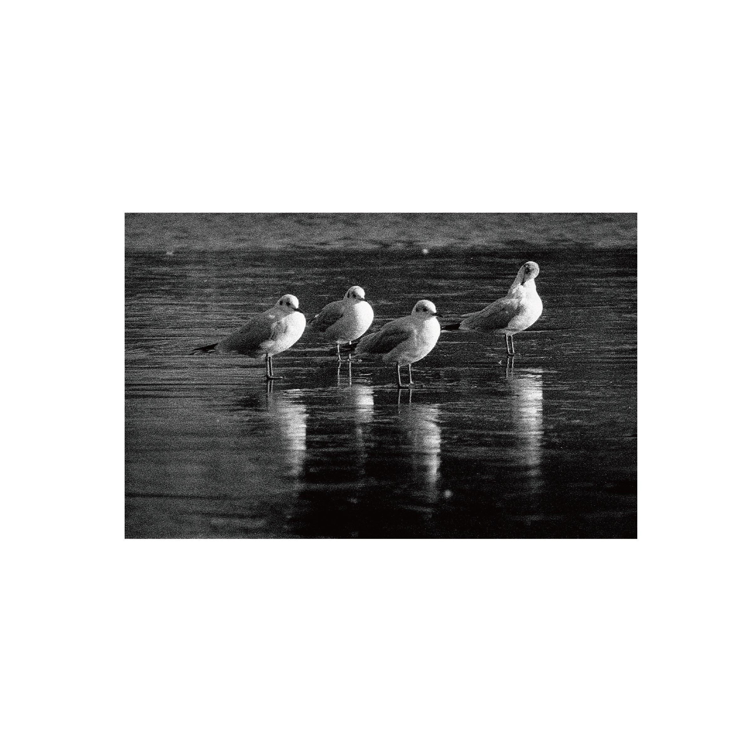 Ilford Delta 3200