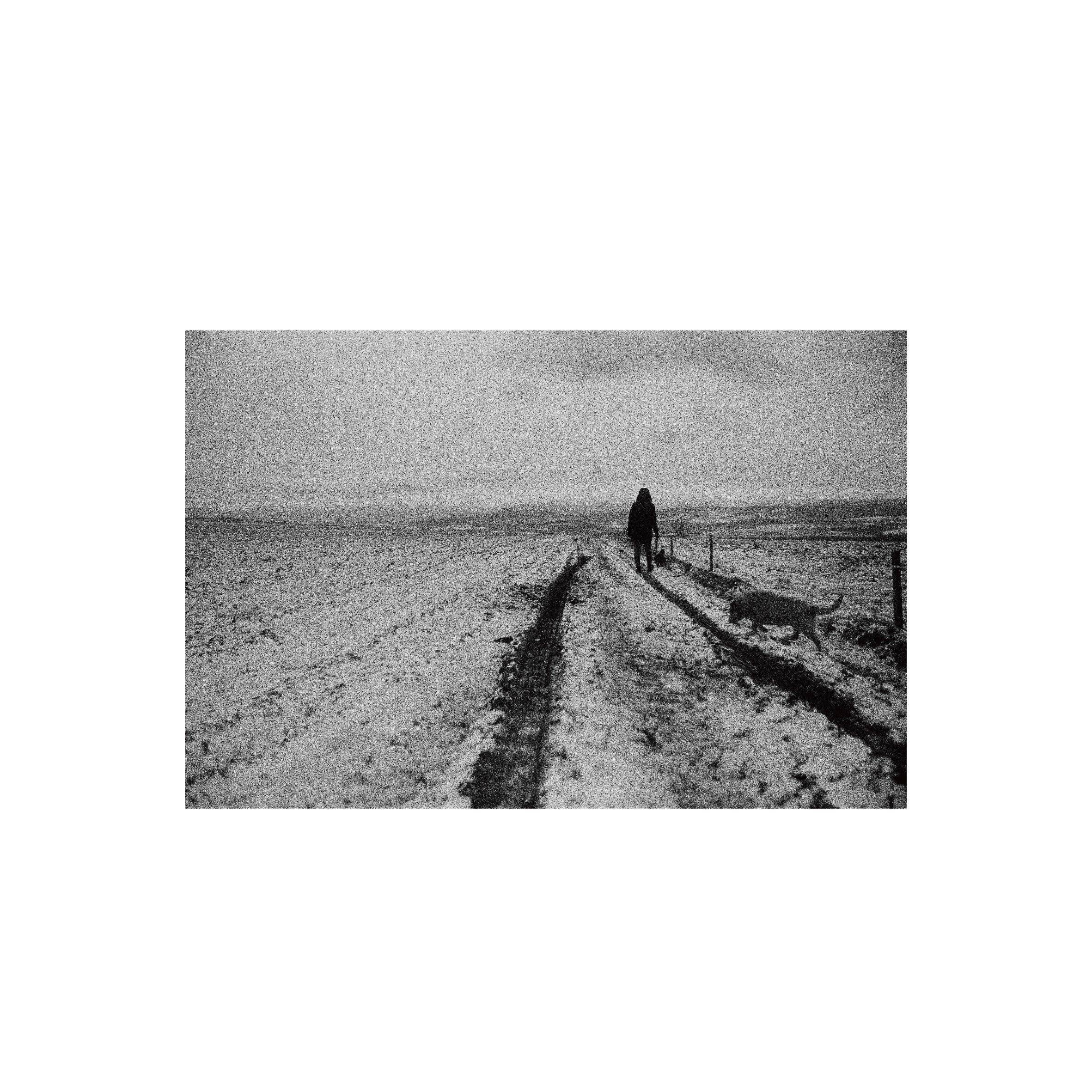 Ilford Delta 3200