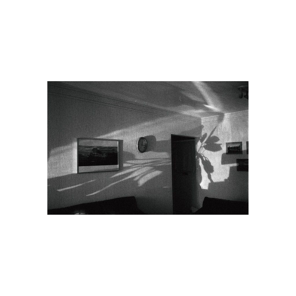 Ilford Delta 3200