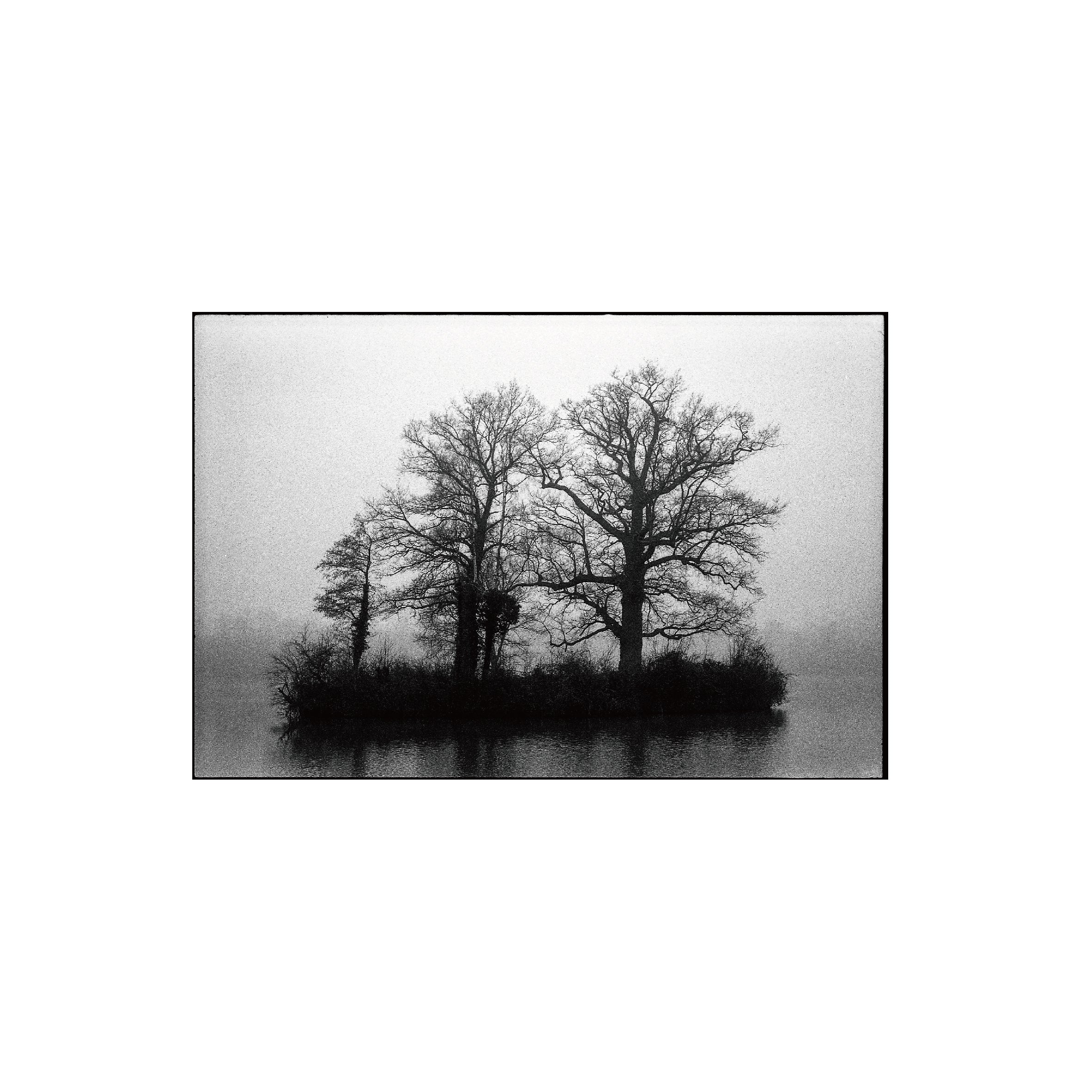 Ilford Delta 400
